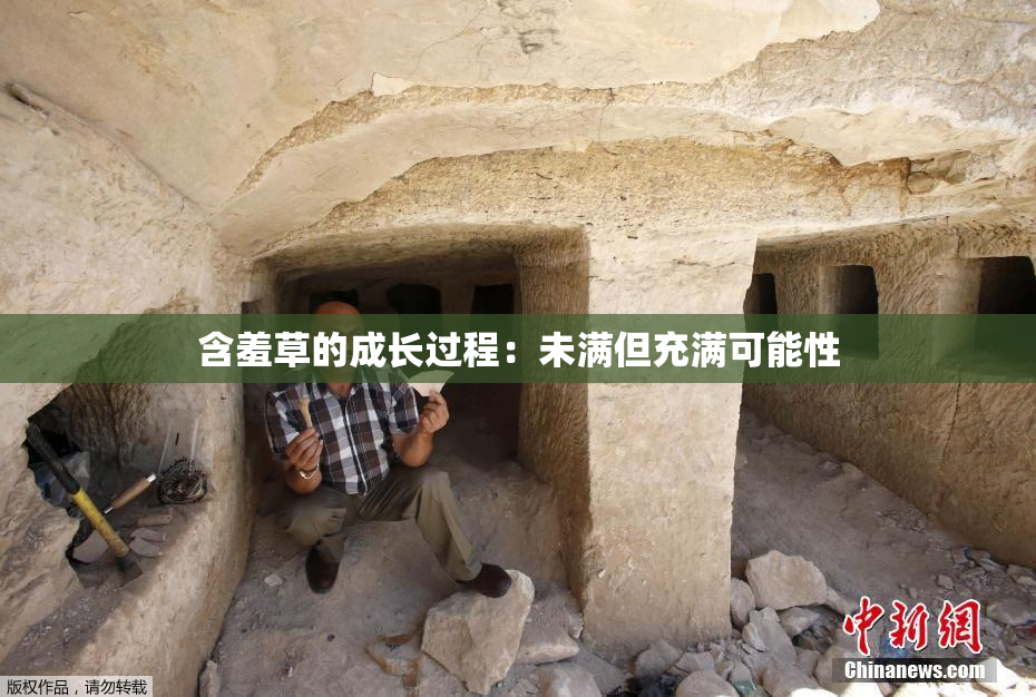 含羞草的成长过程：未满但充满可能性
