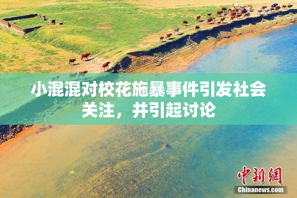 小混混对校花施暴事件引发社会关注，并引起讨论