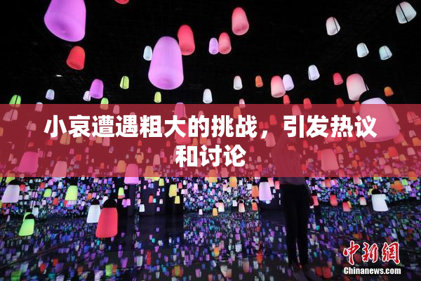 小哀遭遇粗大的挑战，引发热议和讨论