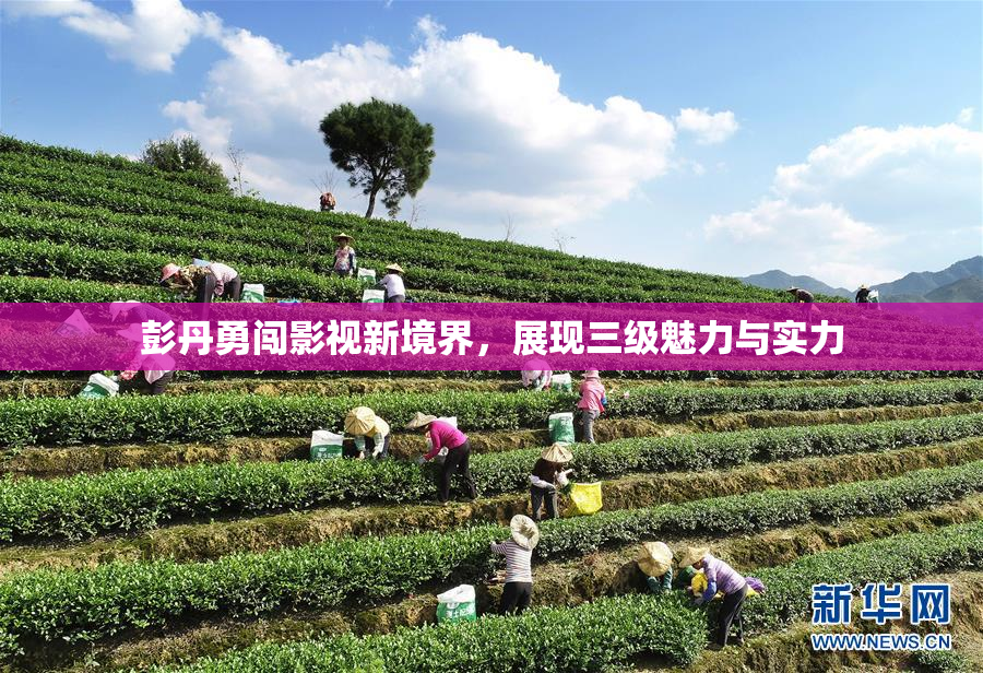 彭丹勇闯影视新境界，展现三级魅力与实力