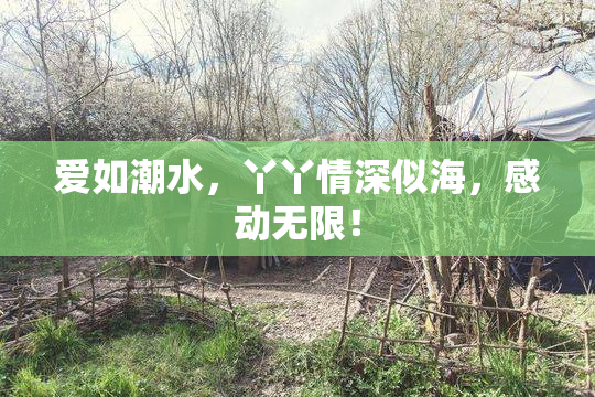 爱如潮水，丫丫情深似海，感动无限！