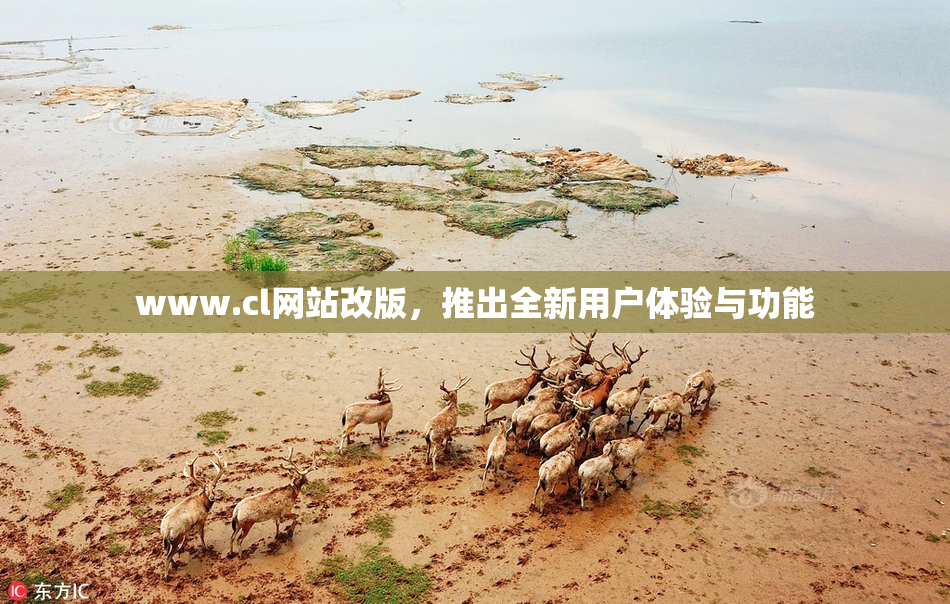 www.cl网站改版，推出全新用户体验与功能