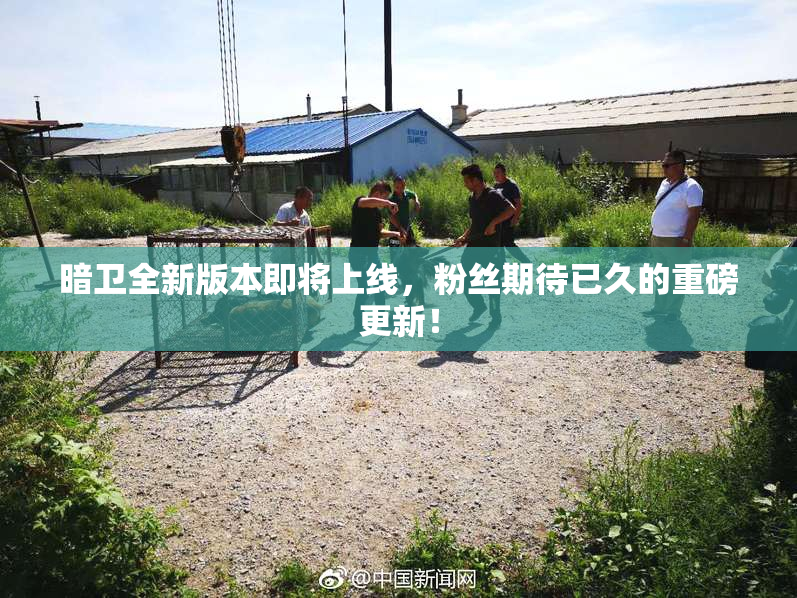 暗卫全新版本即将上线，粉丝期待已久的重磅更新！