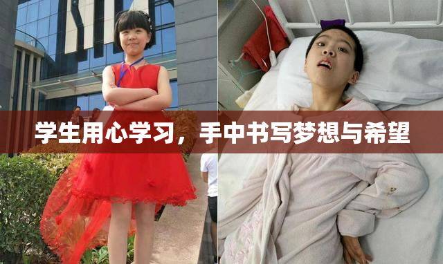 学生用心学习，手中书写梦想与希望