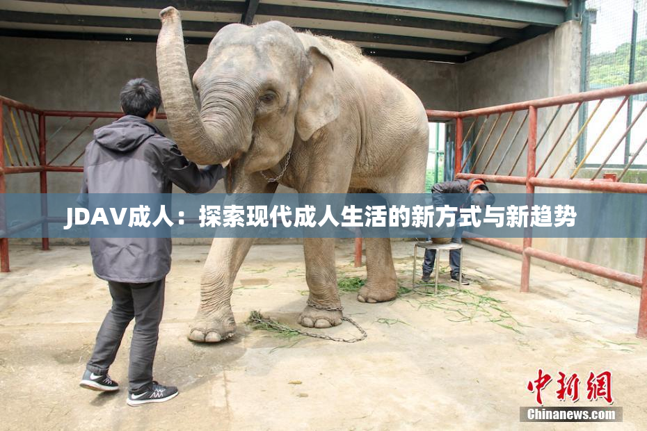 JDAV成人：探索现代成人生活的新方式与新趋势