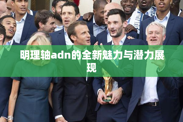 明理轴adn的全新魅力与潜力展现