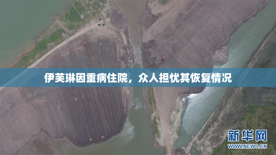 伊芙琳因重病住院，众人担忧其恢复情况