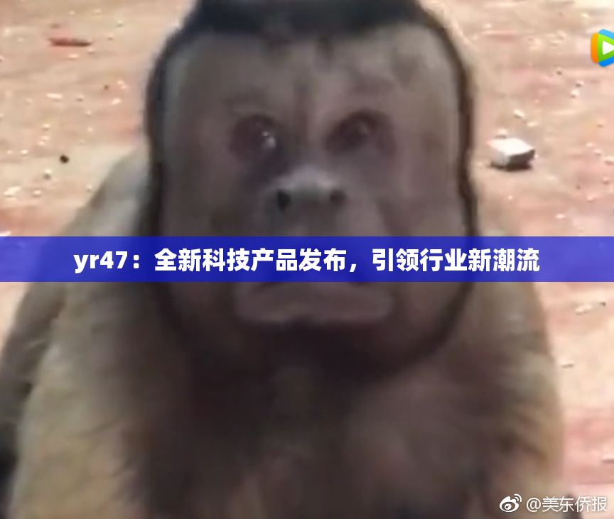 yr47：全新科技产品发布，引领行业新潮流
