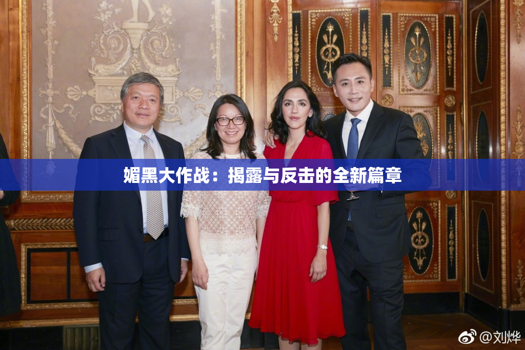 媚黑大作战：揭露与反击的全新篇章