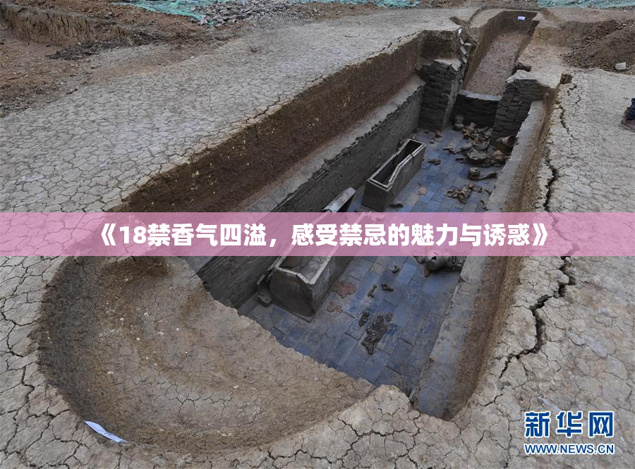 《18禁香气四溢，感受禁忌的魅力与诱惑》