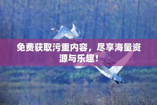 免费获取污重内容，尽享海量资源与乐趣！