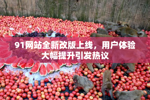 91网站全新改版上线，用户体验大幅提升引发热议