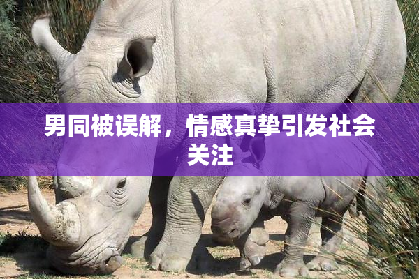 男同被误解，情感真挚引发社会关注