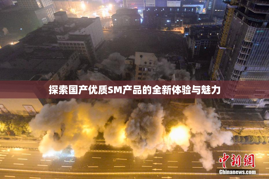探索国产优质SM产品的全新体验与魅力