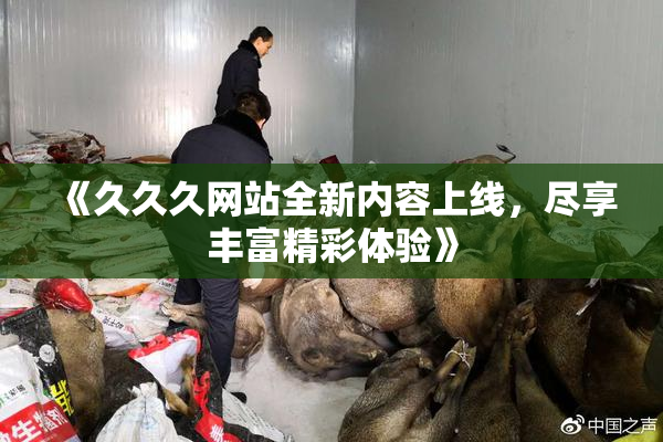 《久久久网站全新内容上线，尽享丰富精彩体验》