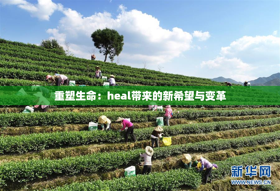 重塑生命：heal带来的新希望与变革