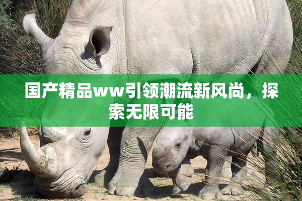 国产精品ww引领潮流新风尚，探索无限可能