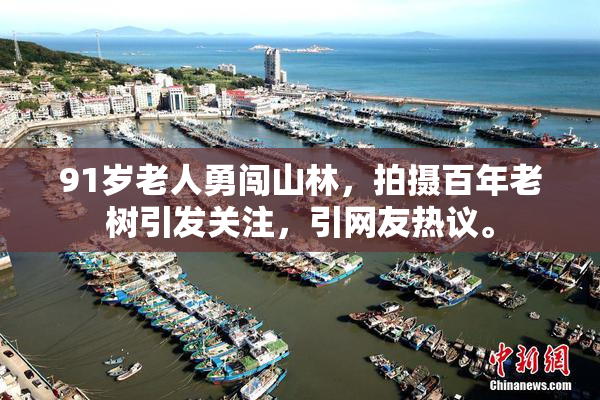 91岁老人勇闯山林，拍摄百年老树引发关注，引网友热议。