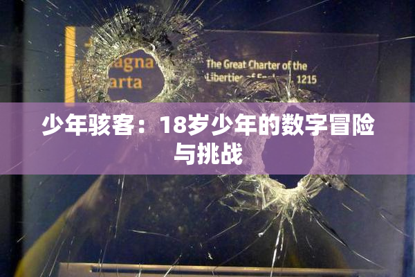 少年骇客：18岁少年的数字冒险与挑战
