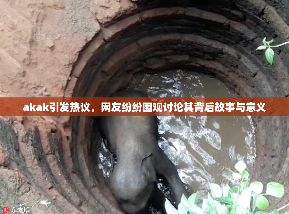 akak引发热议，网友纷纷围观讨论其背后故事与意义