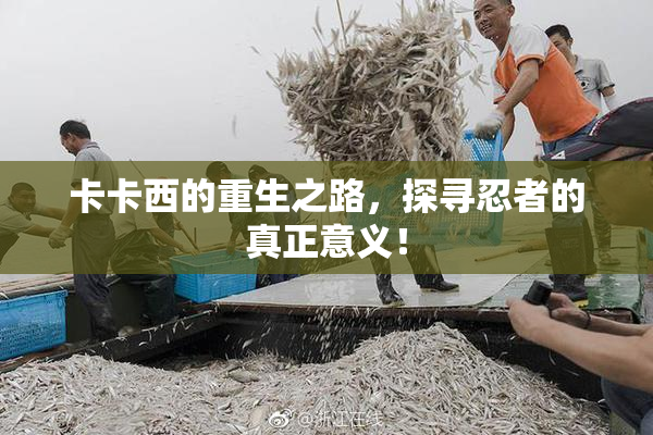 卡卡西的重生之路，探寻忍者的真正意义！