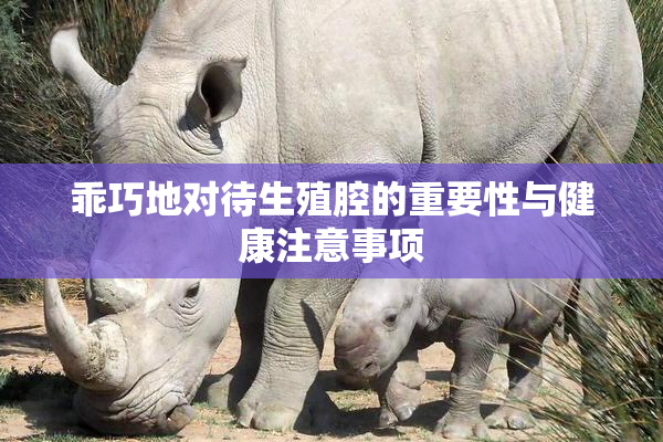 乖巧地对待生殖腔的重要性与健康注意事项