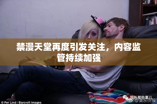禁漫天堂再度引发关注，内容监管持续加强