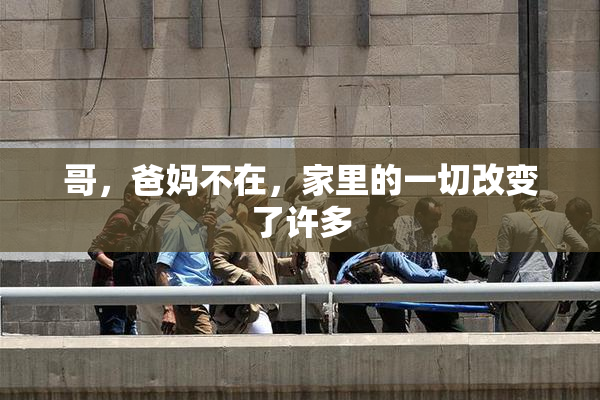 哥，爸妈不在，家里的一切改变了许多