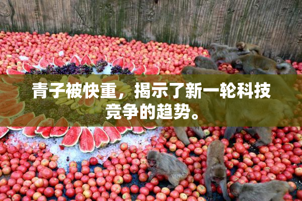 青子被快重，揭示了新一轮科技竞争的趋势。