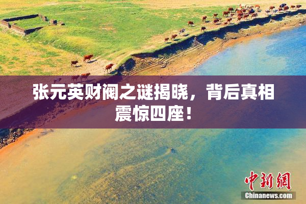张元英财阀之谜揭晓，背后真相震惊四座！