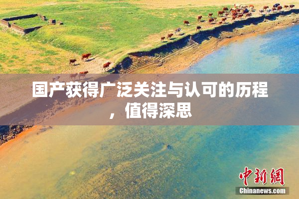 国产获得广泛关注与认可的历程，值得深思