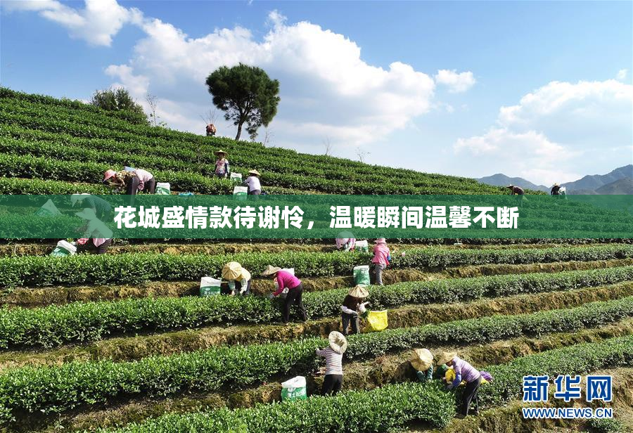 花城盛情款待谢怜，温暖瞬间温馨不断