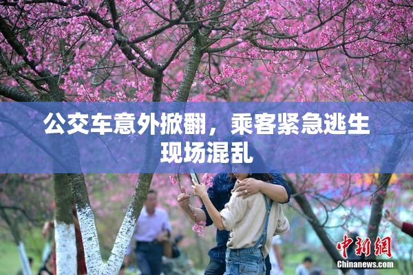 公交车意外掀翻，乘客紧急逃生现场混乱