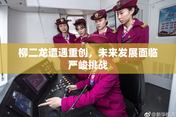 柳二龙遭遇重创，未来发展面临严峻挑战