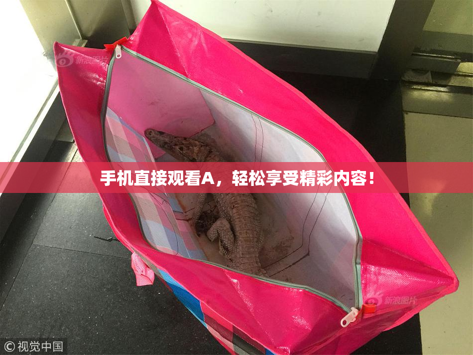 手机直接观看A，轻松享受精彩内容！