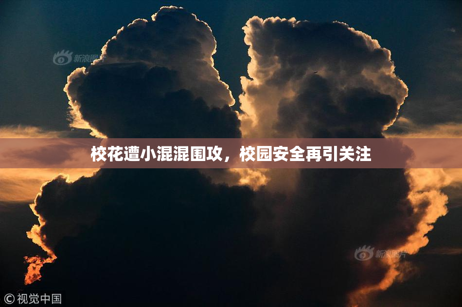 校花遭小混混围攻，校园安全再引关注