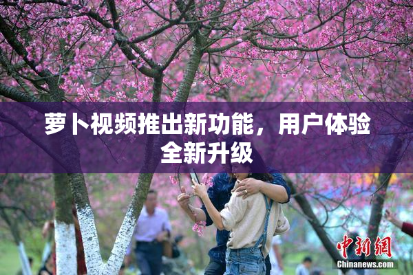萝卜视频推出新功能，用户体验全新升级