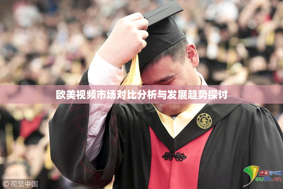 欧美视频市场对比分析与发展趋势探讨