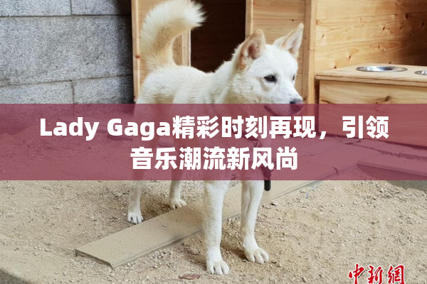 Lady Gaga精彩时刻再现，引领音乐潮流新风尚