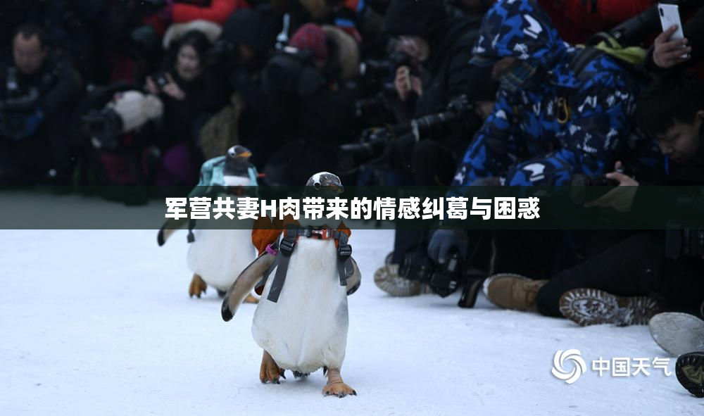 军营共妻H肉带来的情感纠葛与困惑