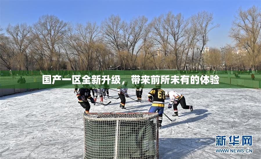 国产一区全新升级，带来前所未有的体验