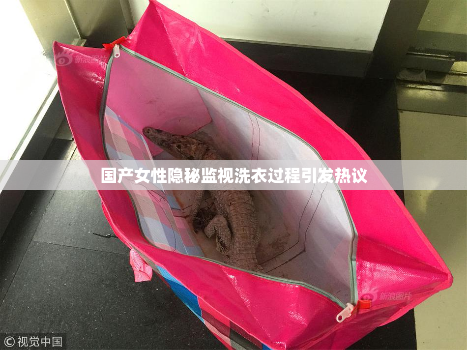 国产女性隐秘监视洗衣过程引发热议