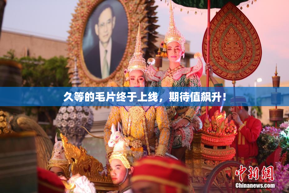 久等的毛片终于上线，期待值飙升！