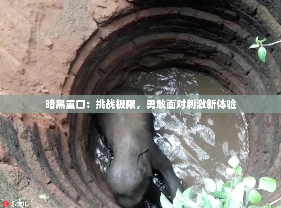 暗黑重口：挑战极限，勇敢面对刺激新体验