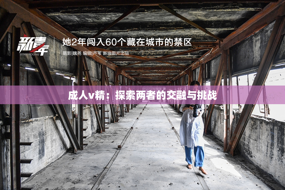 成人v精：探索两者的交融与挑战