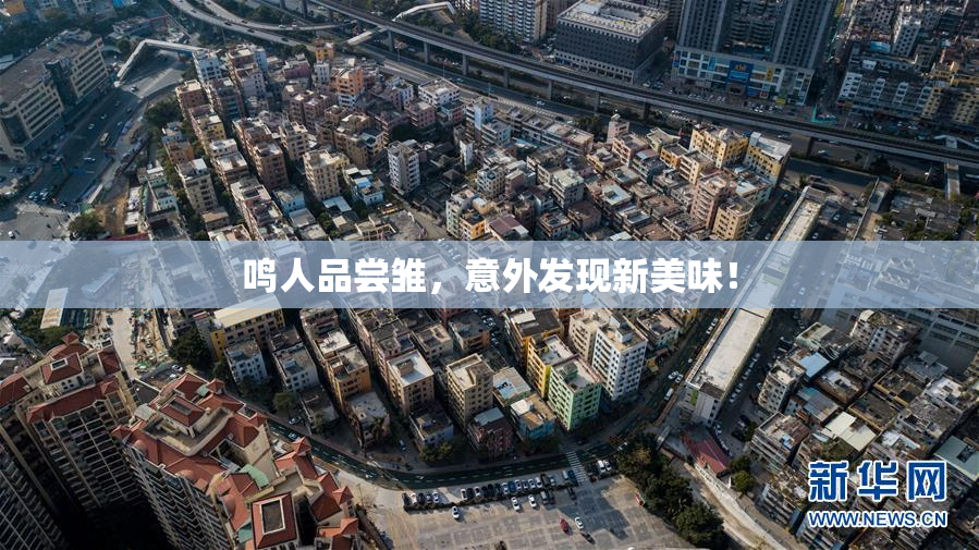 鸣人品尝雏，意外发现新美味！