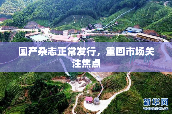 国产杂志正常发行，重回市场关注焦点