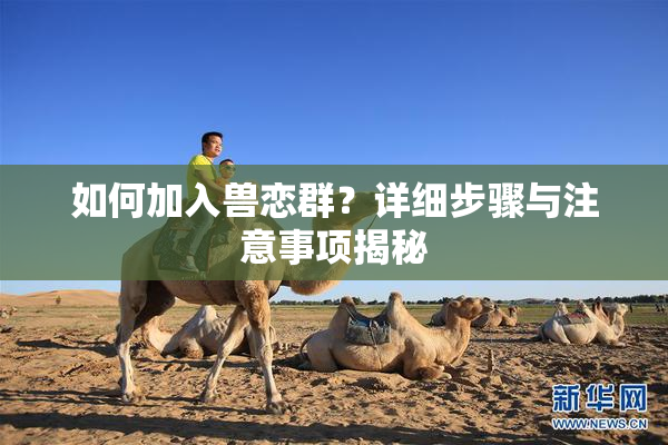 如何加入兽恋群？详细步骤与注意事项揭秘