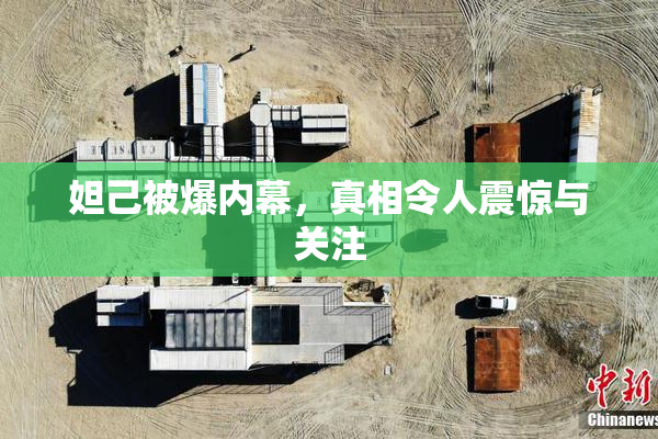 妲己被爆内幕，真相令人震惊与关注