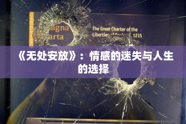 《无处安放》：情感的迷失与人生的选择